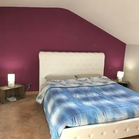 Certe Notti Narzole